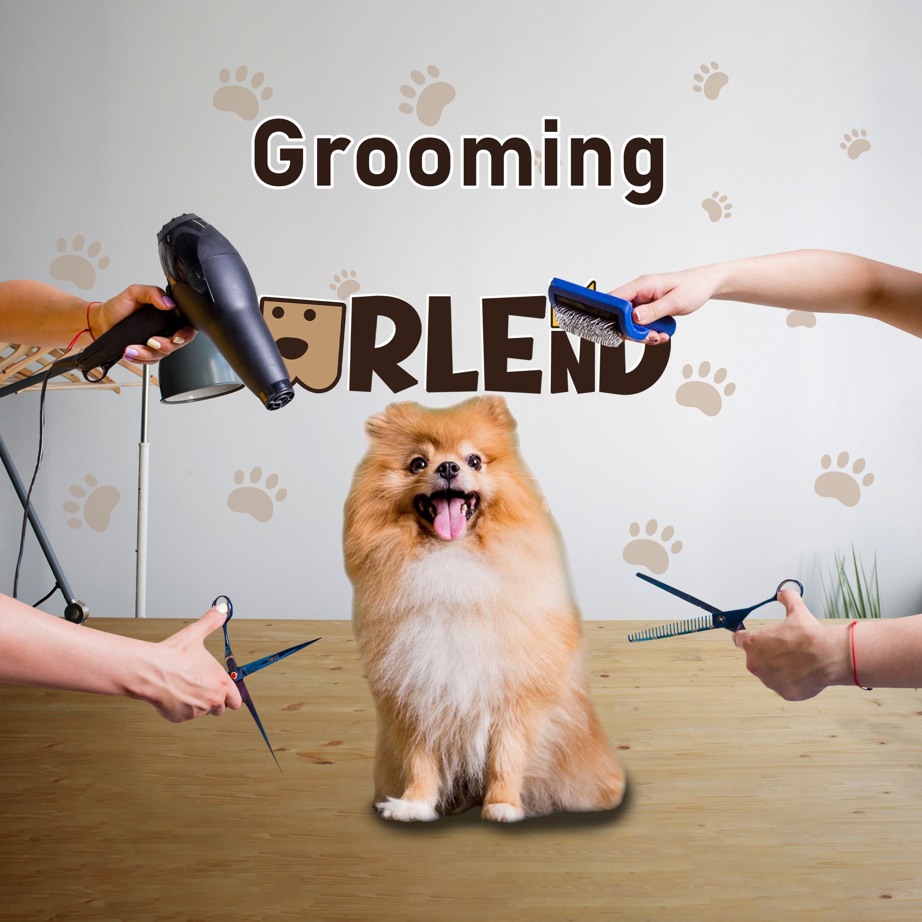 Find grooming tools for cats and dogs, including vacuums, clippers, and brushes. Maintain a clean, healthy coat with products designed to reduce shedding and simplify pet care at home