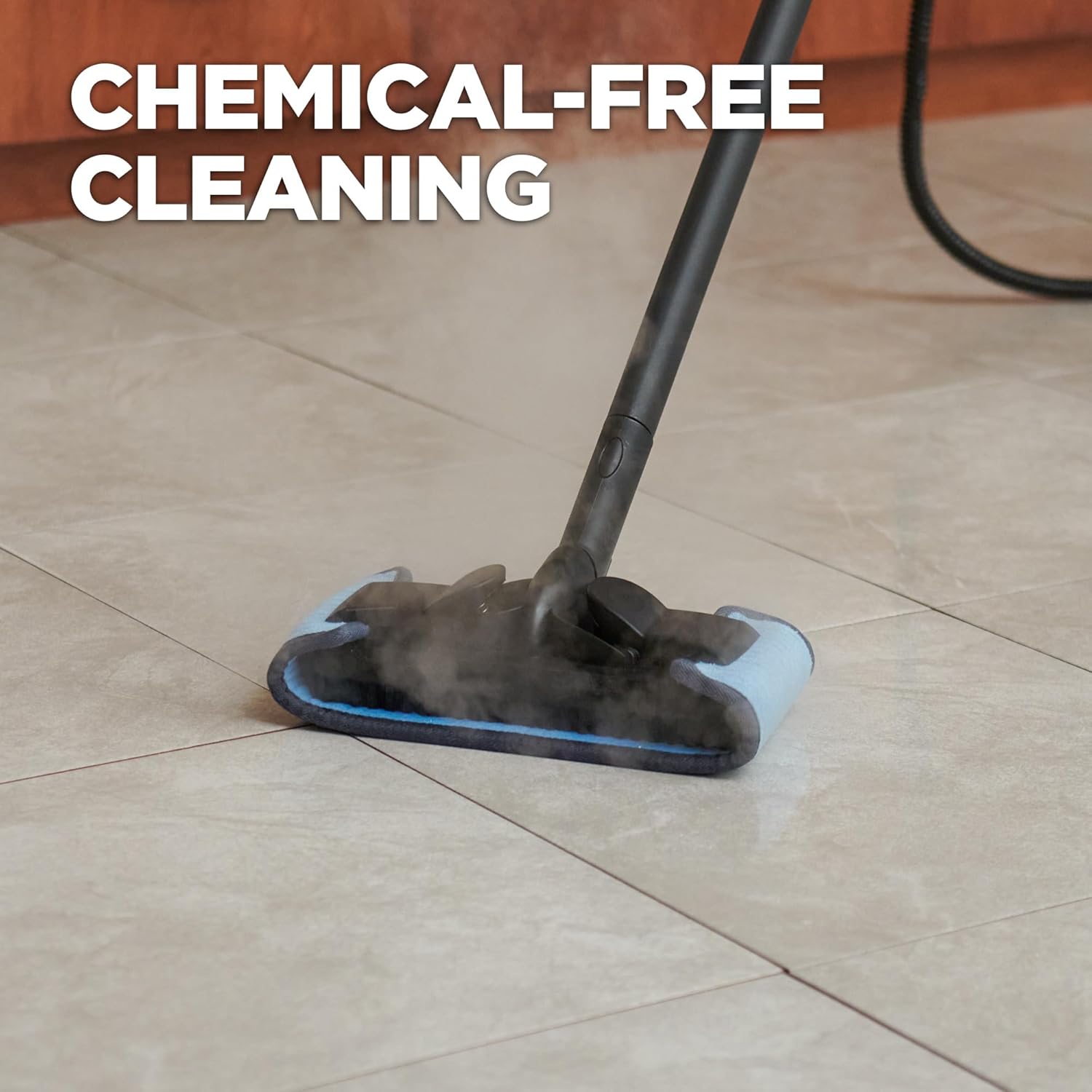 Wagner Spraytech 915e On-Demand Steam Cleaner & Wallpaper Remover