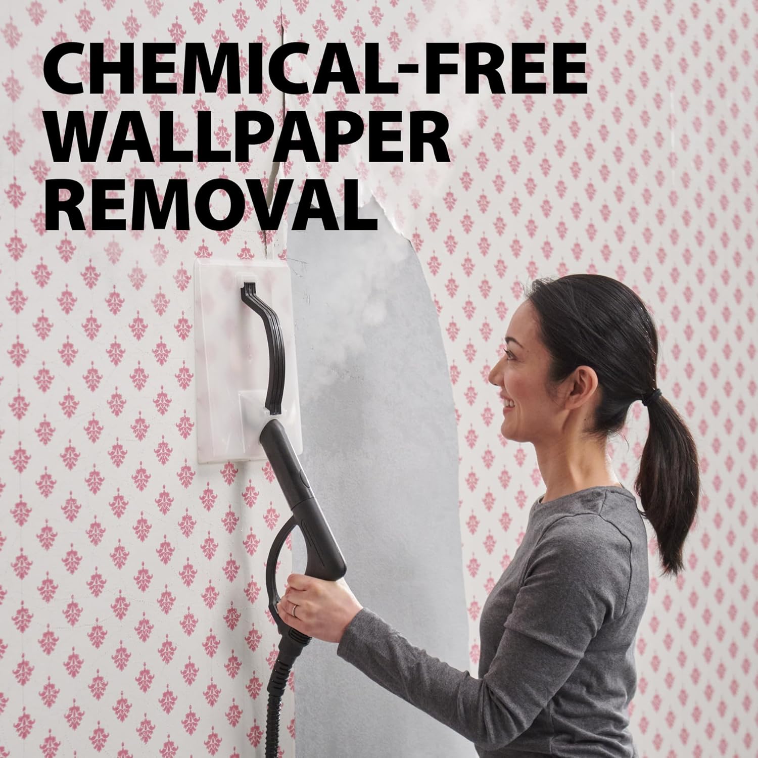 Wagner Spraytech 915e On-Demand Steam Cleaner & Wallpaper Remover