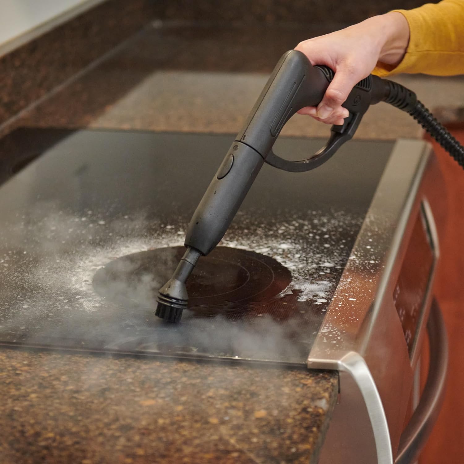 Wagner Spraytech 915e On-Demand Steam Cleaner & Wallpaper Remover