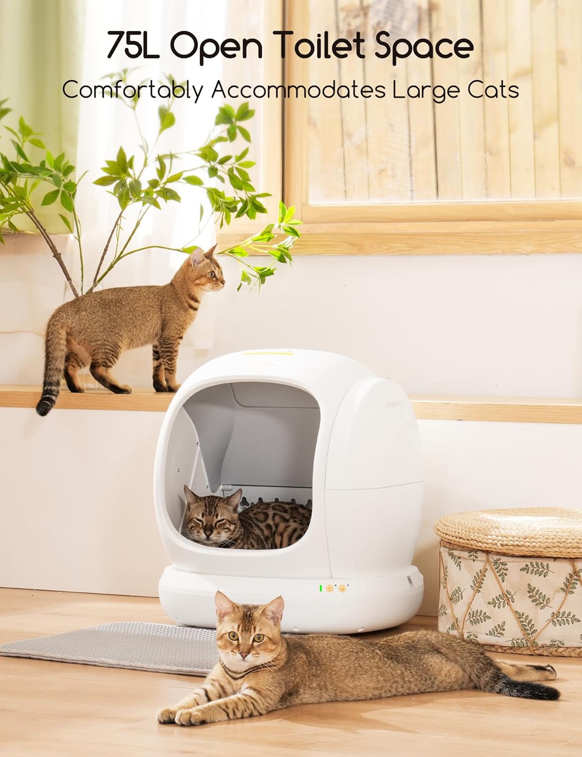 Meowant Self-Cleaning Cat Litter Box – 75L Extra Large Automated Litter Box with Safety Features, App Control, and Odor Management