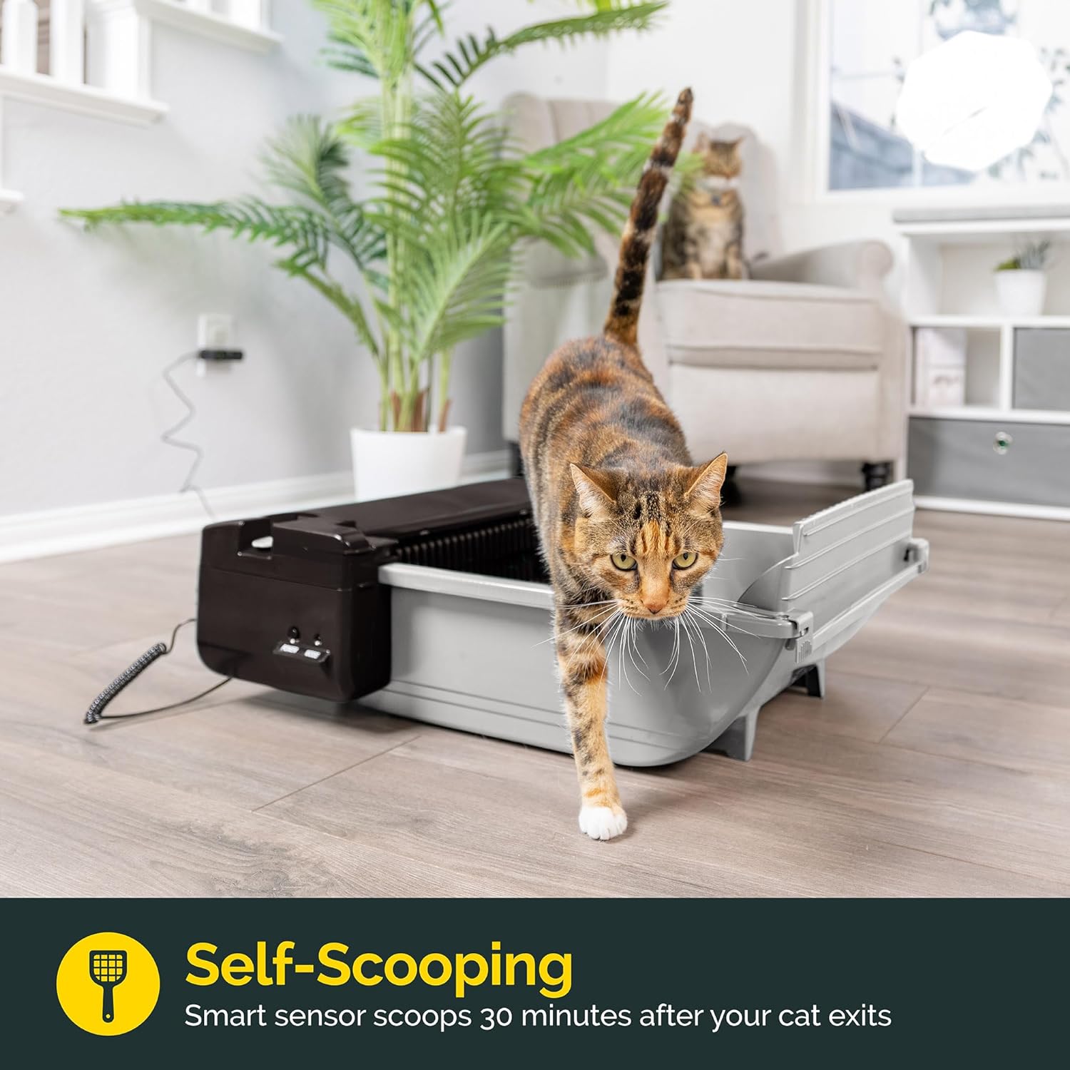 Pet Zone Smart Scoop Self-Cleaning Cat Litter Box – Semi-Automatic Solution with 6 Bags & Carbon Filter for Cats Up to 16 lbs (2 Cats Maximum)