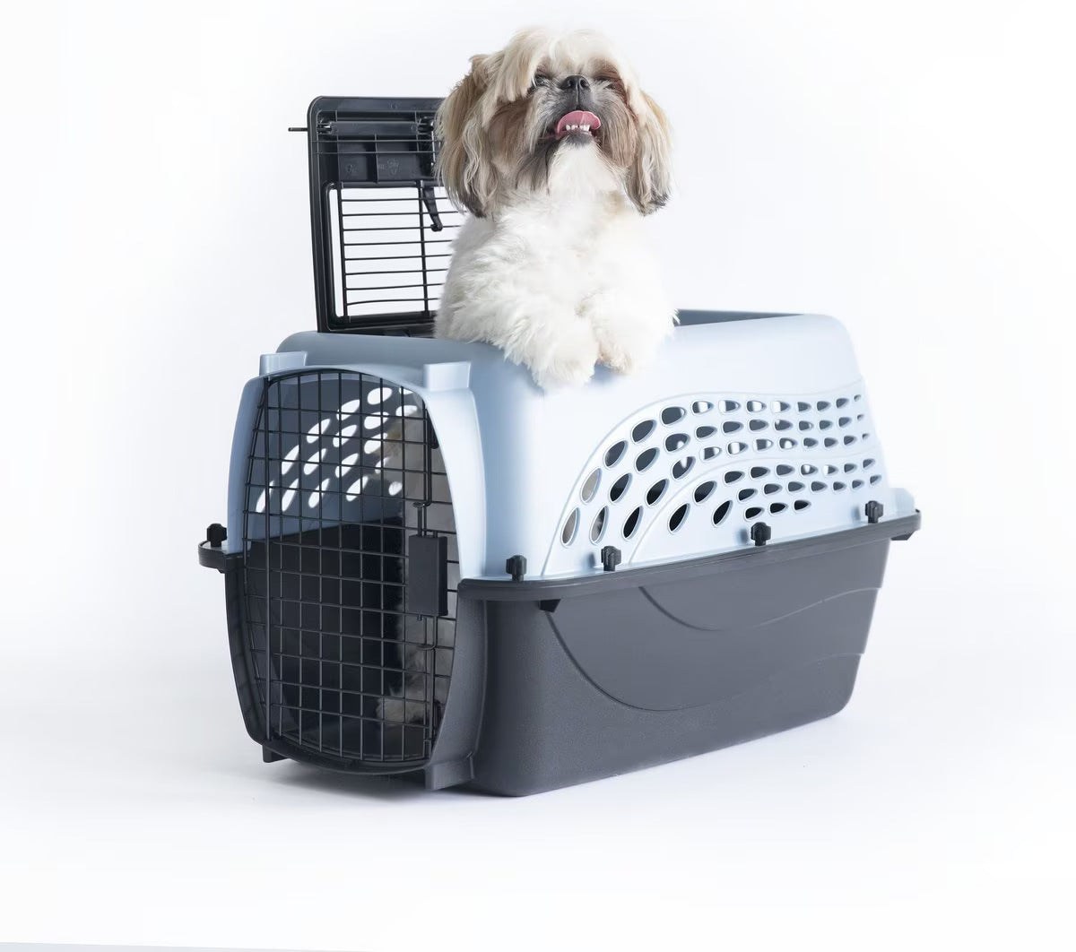 Petmate Two-Door Small Pet Carrier – Top & Front Loading, Eco-Friendly, 24-Inch, for Pets up to 15 lbs