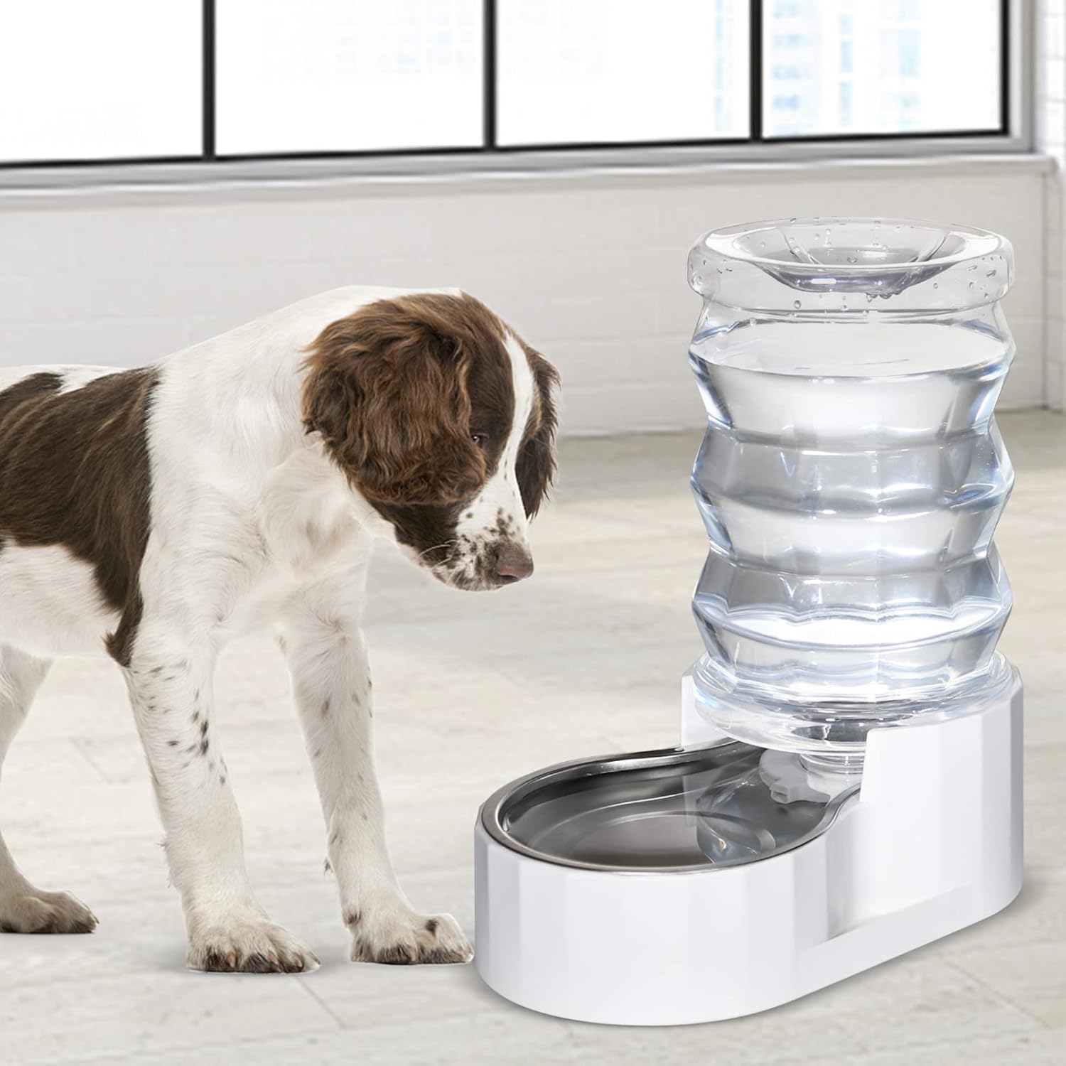 RIZZARI 6L Automatic Pet Water Dispenser - Stainless Steel Gravity-Feed System