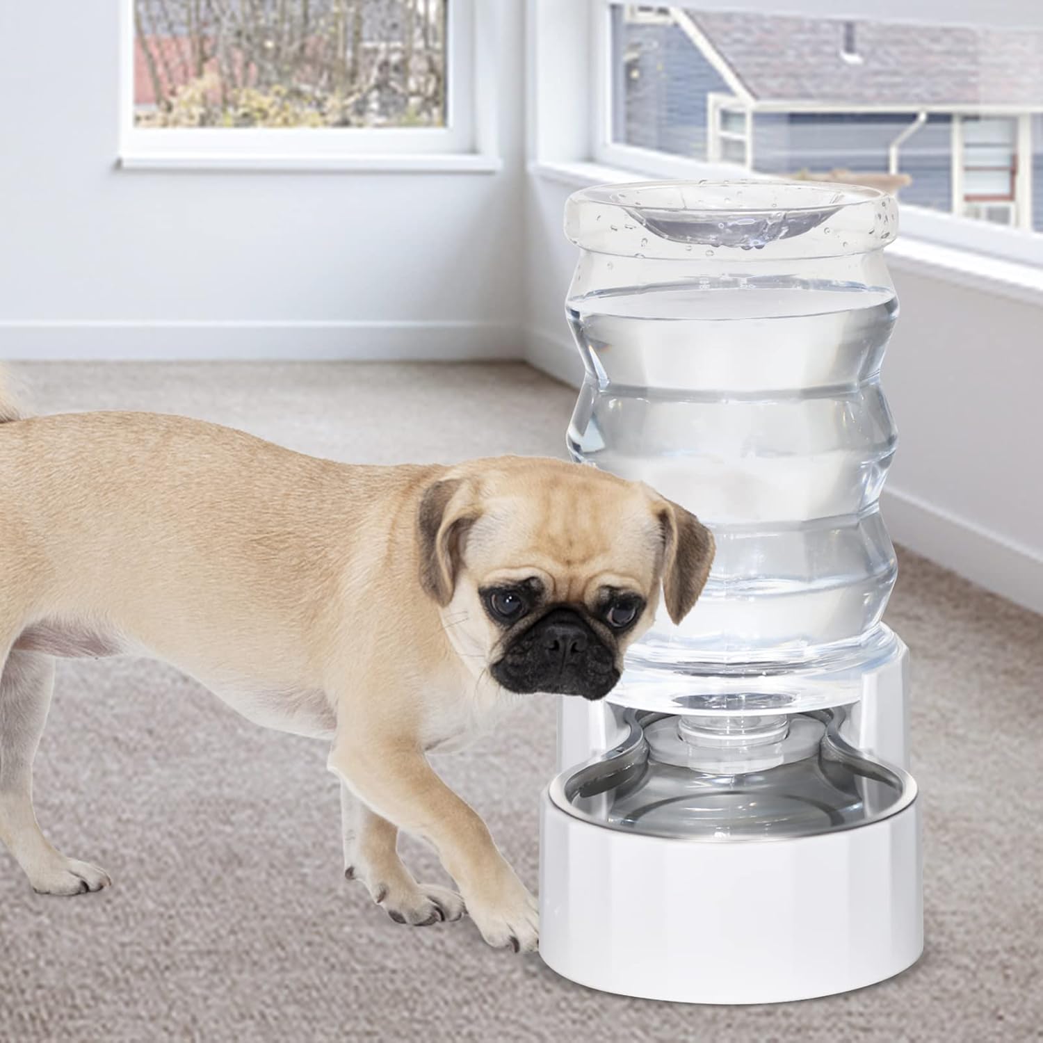 RIZZARI 6L Automatic Pet Water Dispenser - Stainless Steel Gravity-Feed System