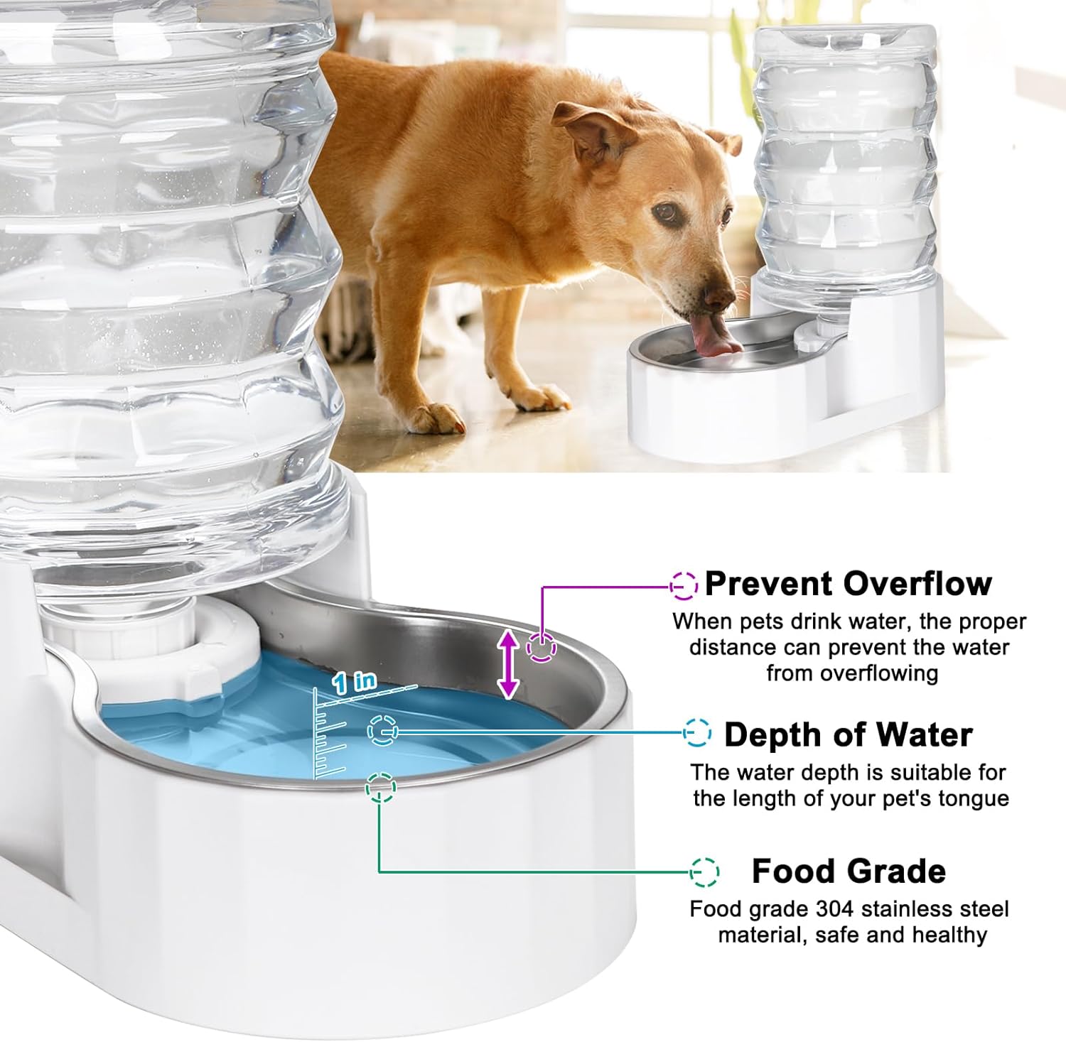 RIZZARI 6L Automatic Pet Water Dispenser - Stainless Steel Gravity-Feed System